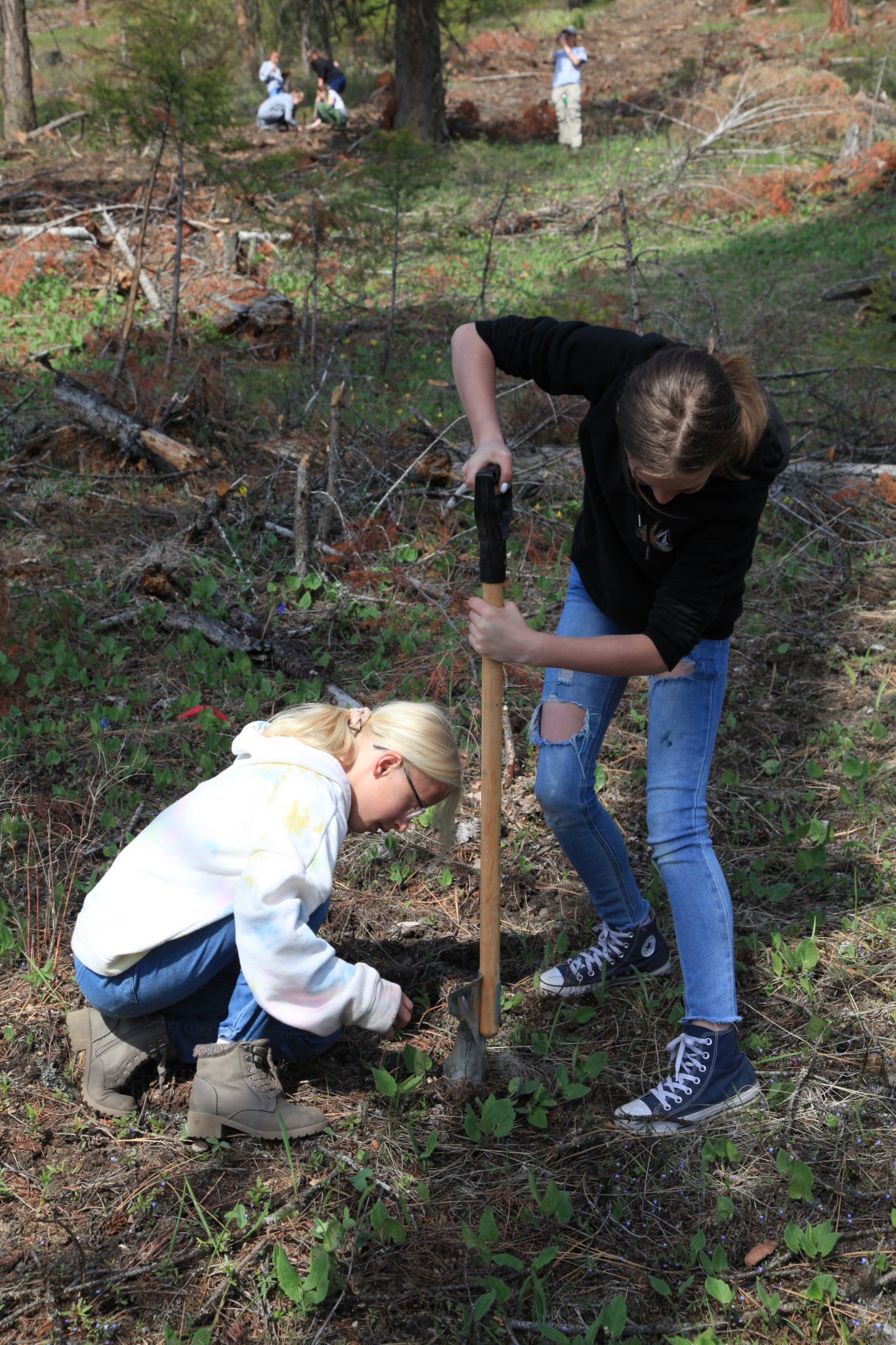 Taking Care of the Environment