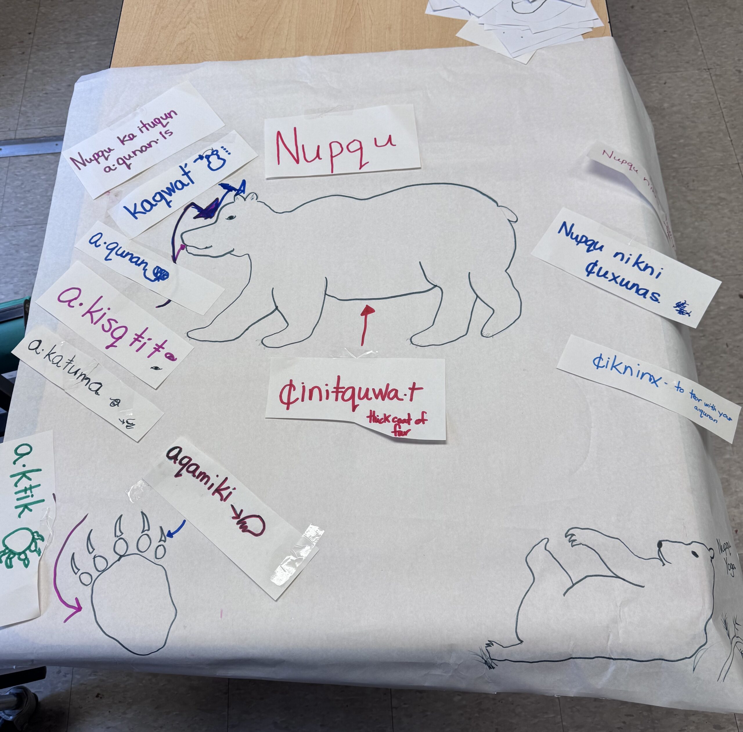 Learning Kootenai Language